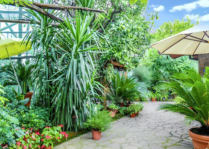 Charming Studio With Sea View In Sorrento - 35 Sqm + Terrace