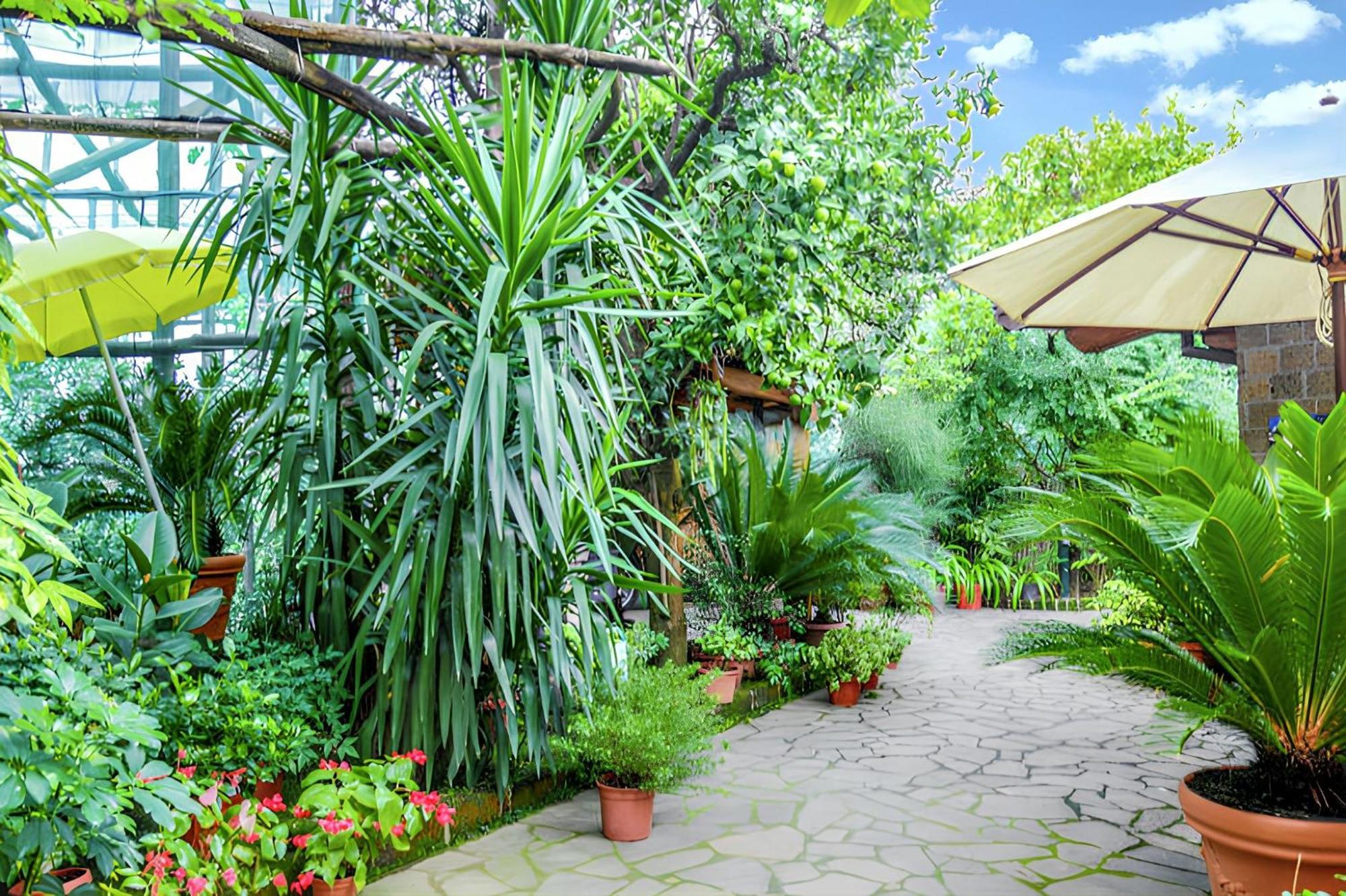 Apartment Charming With Sea View In - 35 Sqm + Terrace *